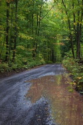 backroad7