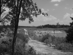 35-P1030127.jpg
