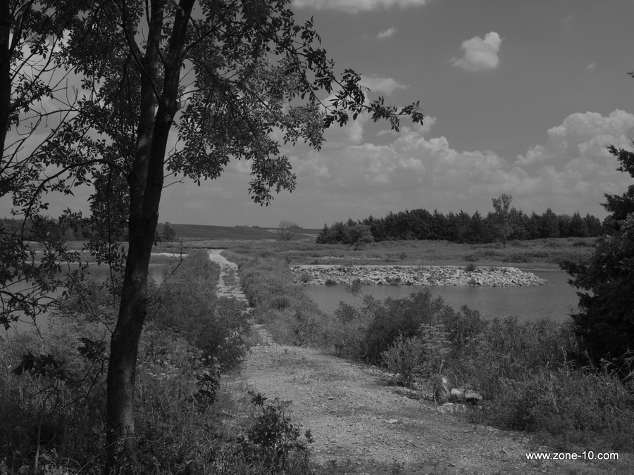 49-P1030135.jpg