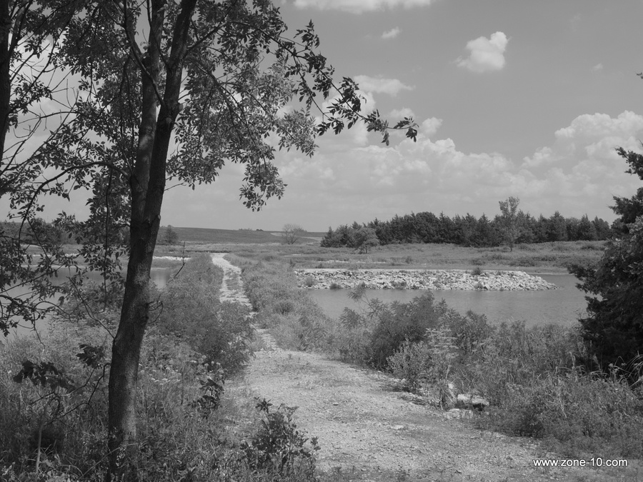 51-P1030136.jpg
