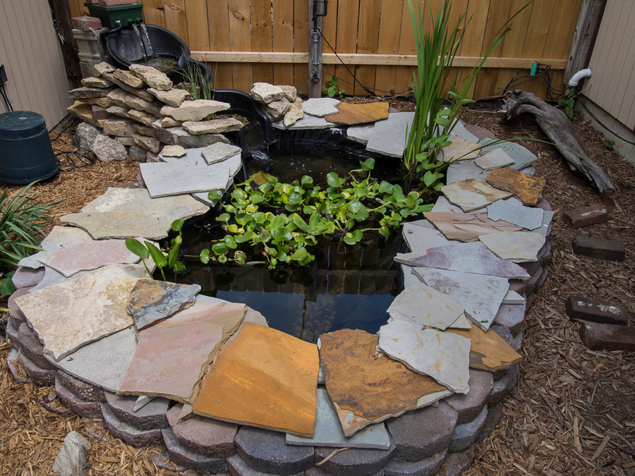 Pond In Progress