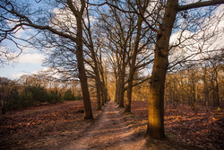 20130113-IMG_9571 pc