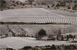 Two-chard-farm-1200
