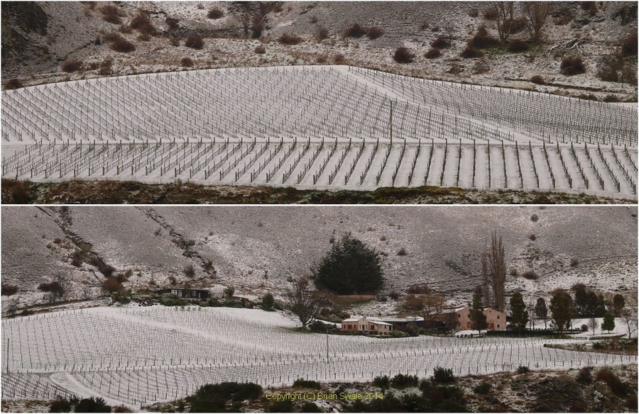 Two-chard-farm-1200