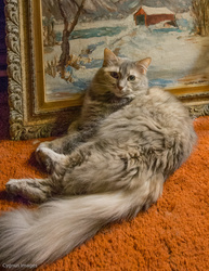 Art Appreciation