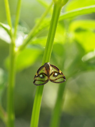 P7051144