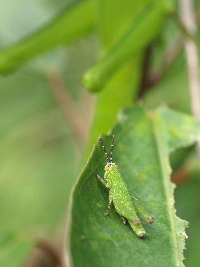 P7051263