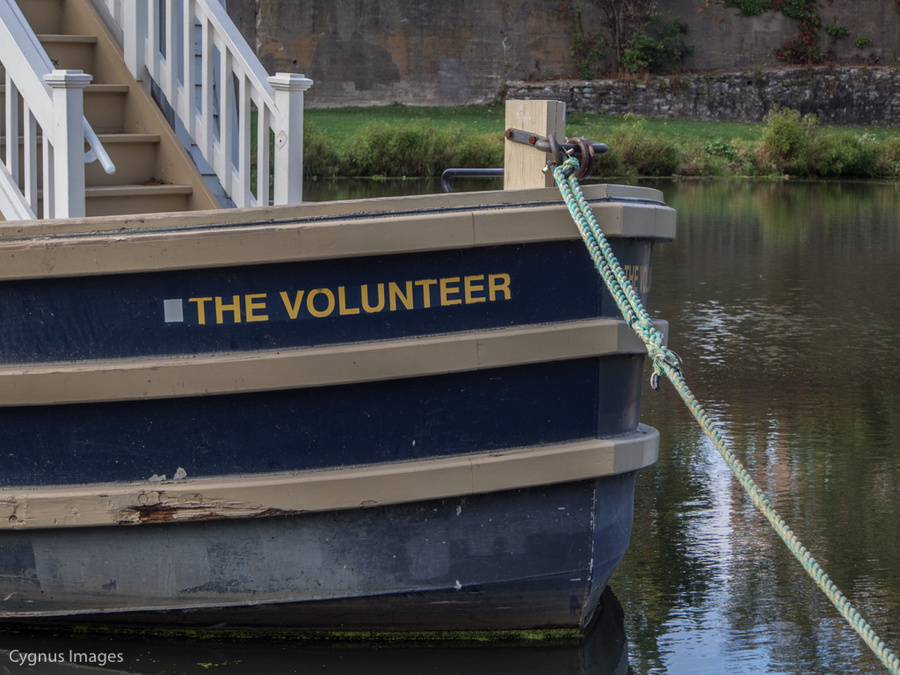 The Volunteer