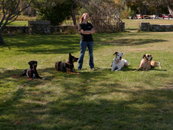 P1000420_DxO