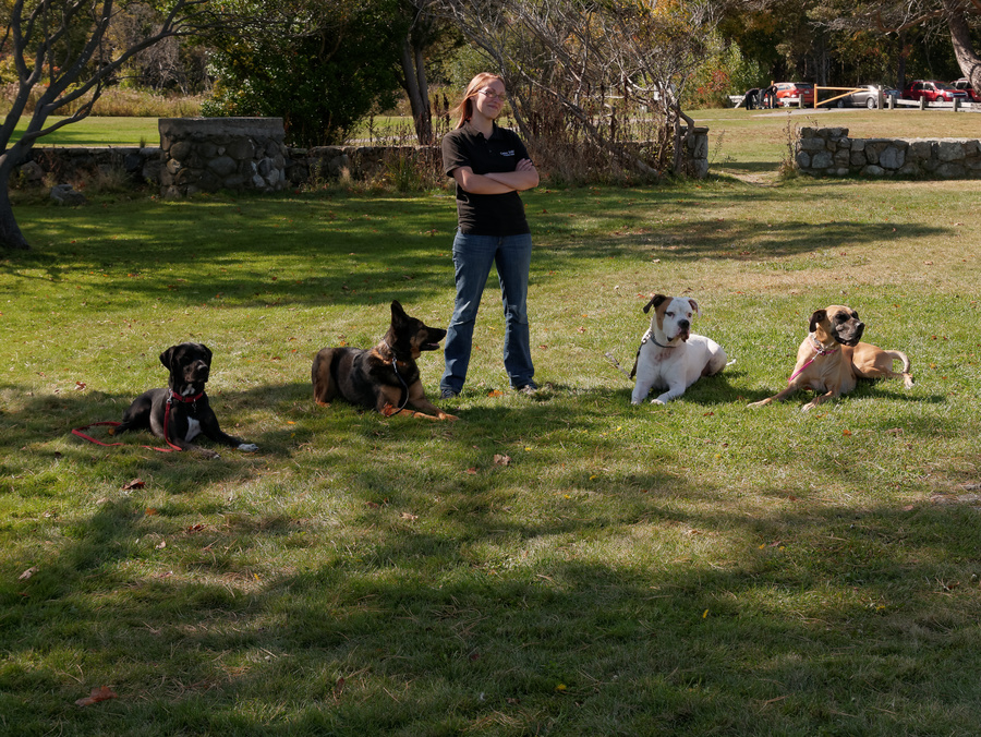 P1000420_DxO
