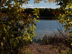 P1000425_DxOHivibsmall