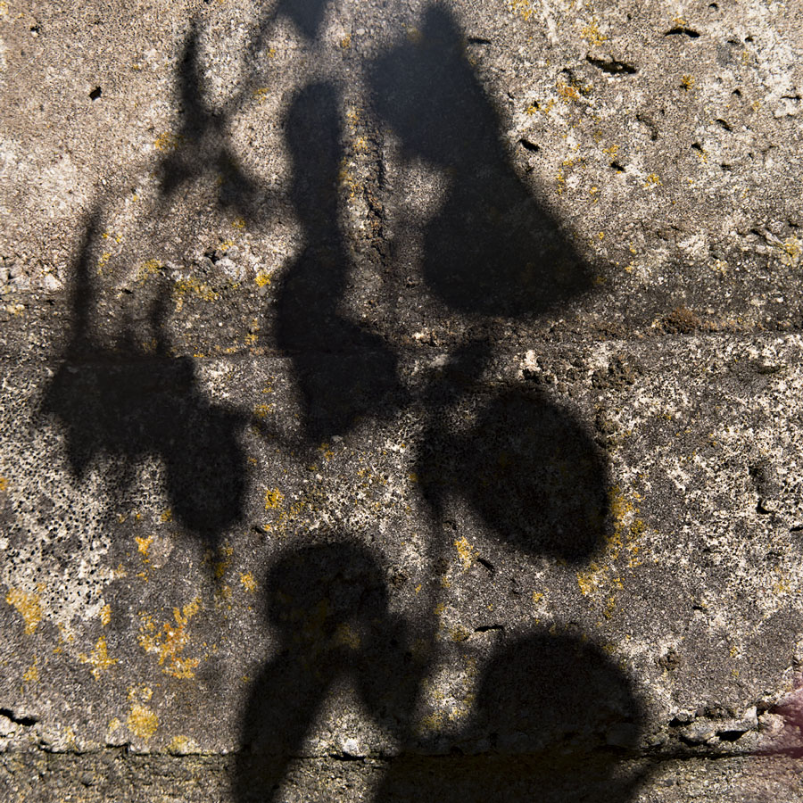 Tiny Dancers' Shadows