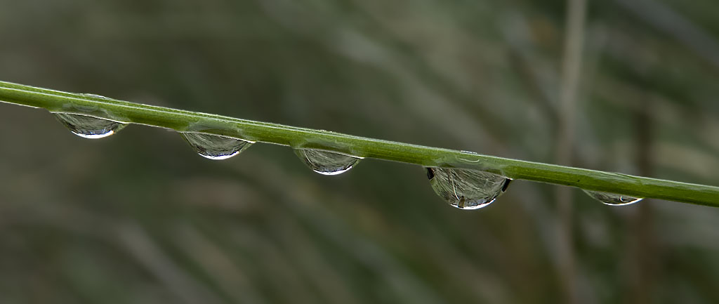 Raindrops, Interrupted