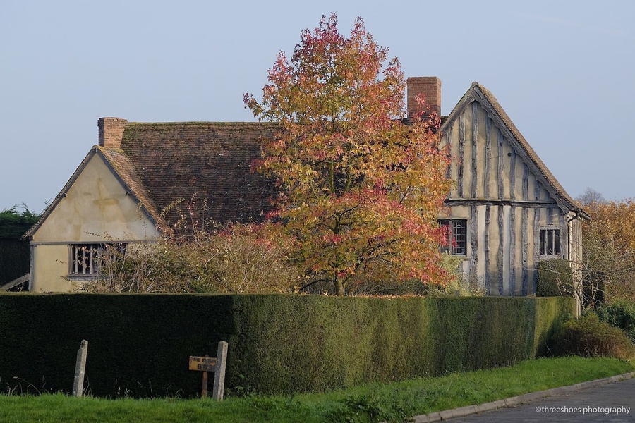 D2014_DSF3888 Gamlingay (1)