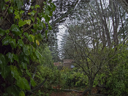 Olympus 9 mm, 140° Fisheye Lenscap