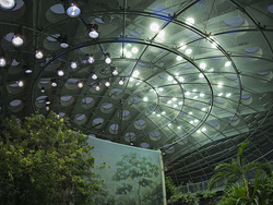 Circular View