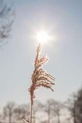 20130116-IMG_9621