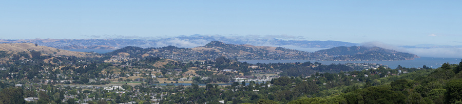 DSC00421