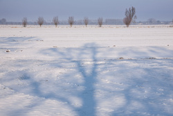 20130116-IMG_9644