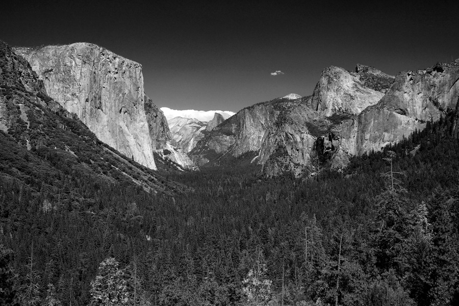 DSC00767a
