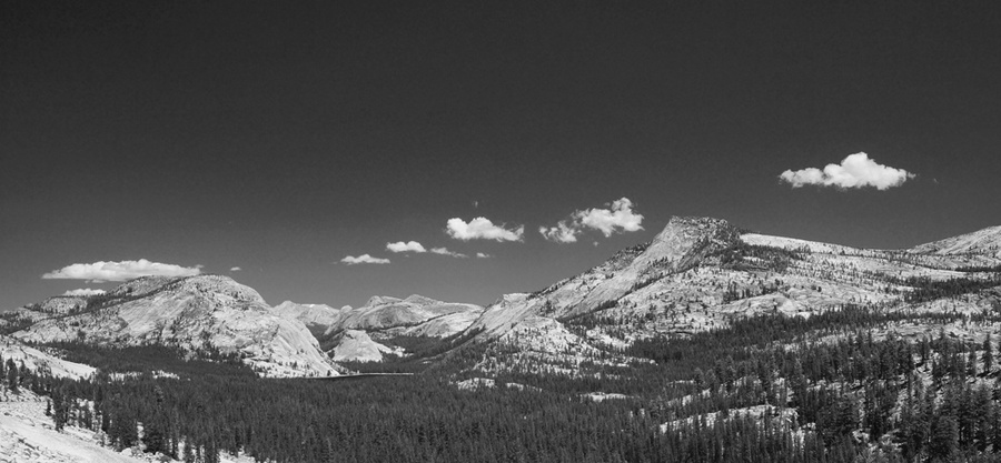 DSC00870a