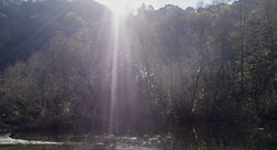Flare!