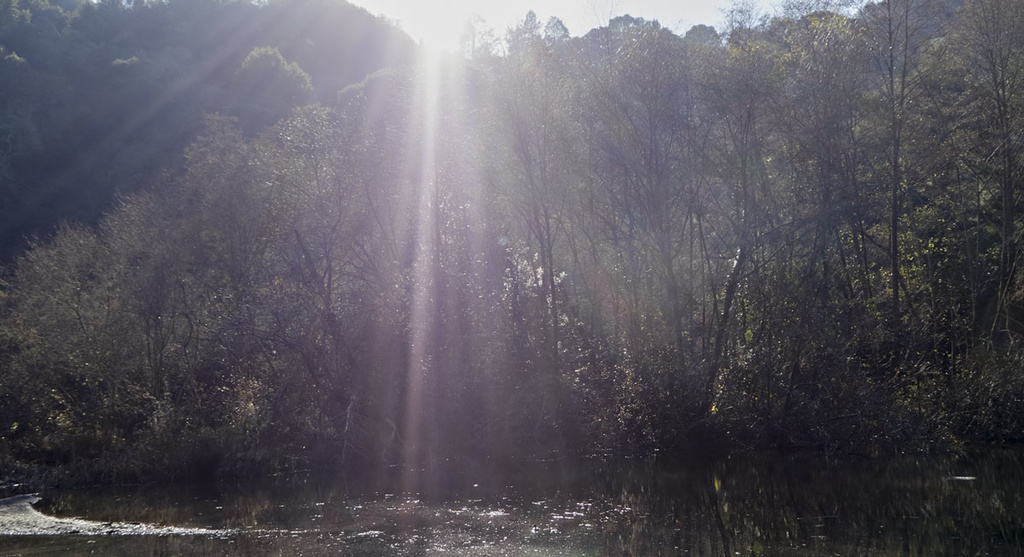 Flare!