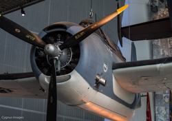 P-47 Thunderbolt