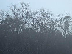 20150107-A 027-a