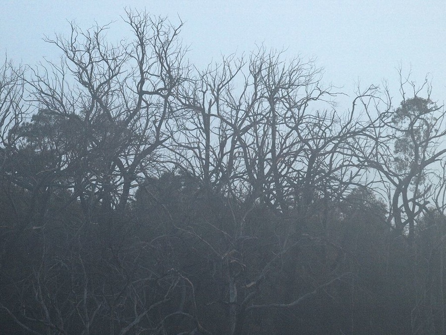 20150107-A 027-a