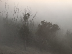 20150107-A 035-a