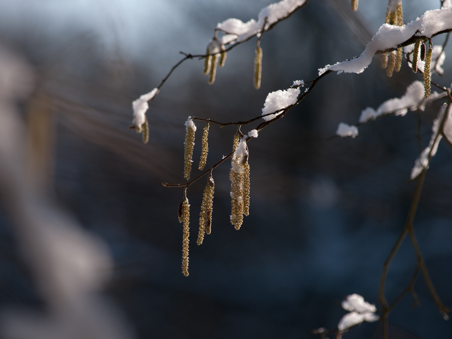 hiver
