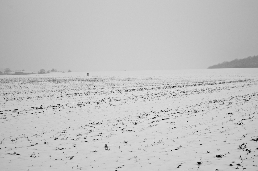Walk in the Snow