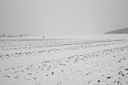 Walk in the Snow