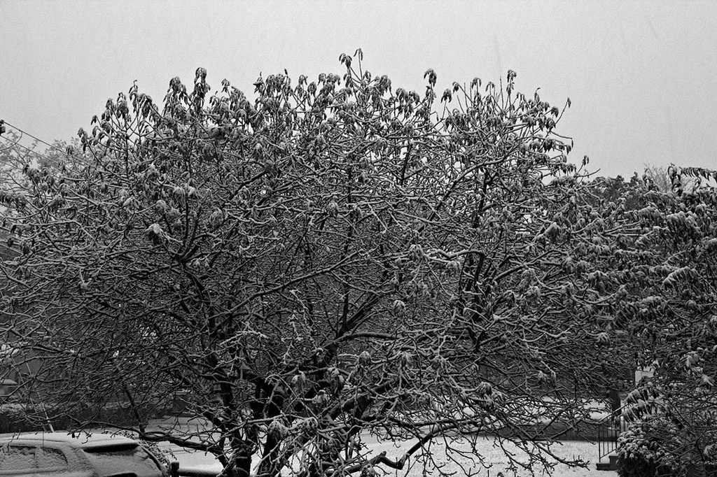 Hudson, MA, 10-29-2011, 5:37 pm