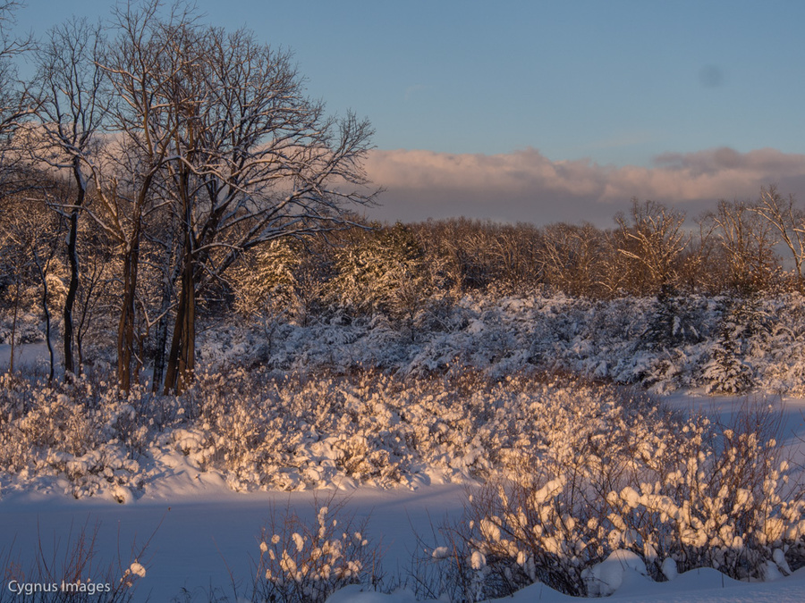 Winter In Indiana 2
