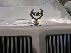 P9245572-E3-D-14-1000-cargrille.JPG