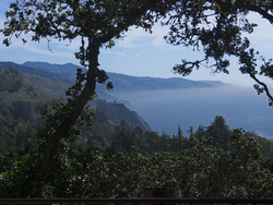 Nepenthe Restaurant View