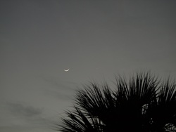 MoonVenus065LR