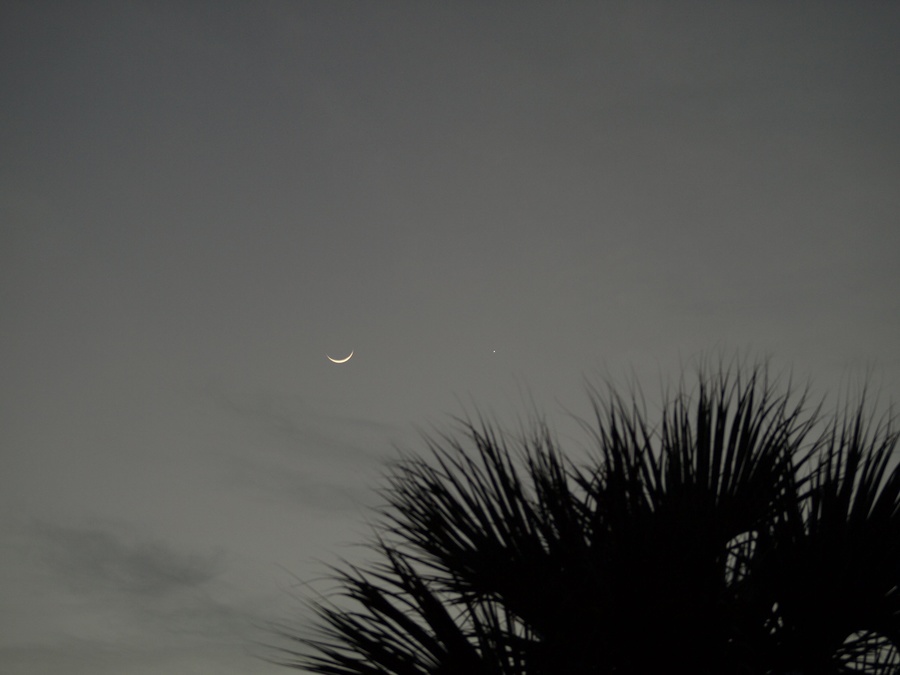 MoonVenus065LR