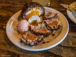 Scotch Egg