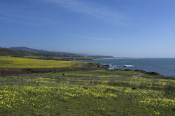 Pigeon Point Lighthouse