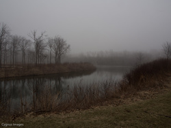 Fog On The Water