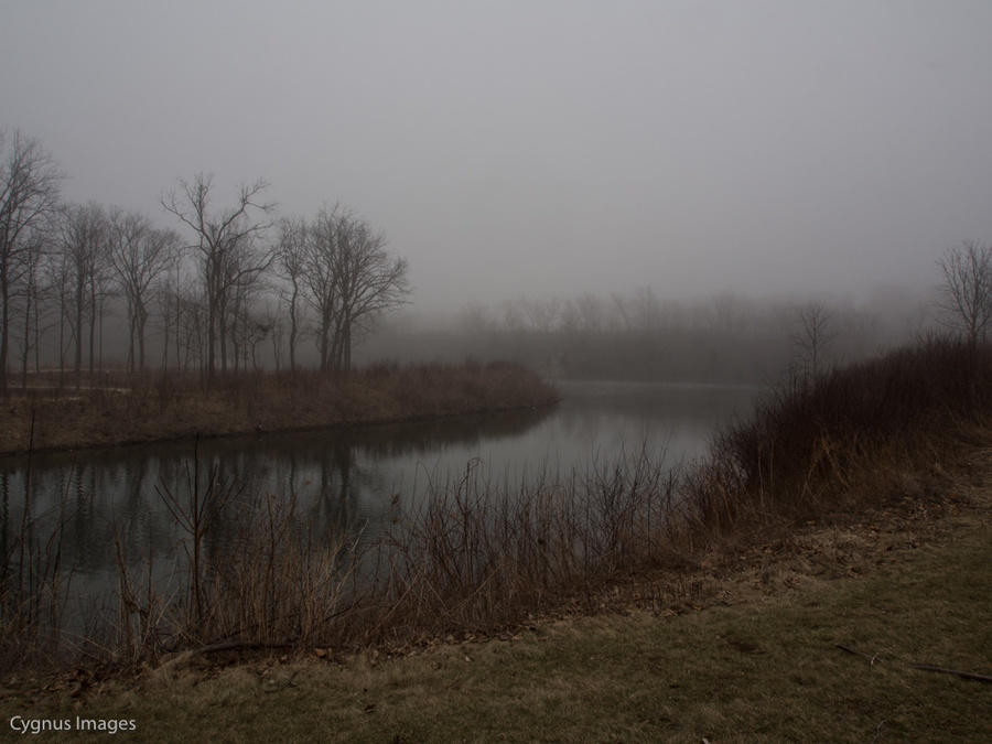 Fog On The Water