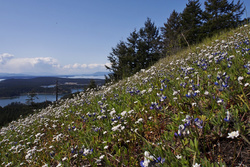 MtYoung_0081