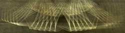 Points of Light