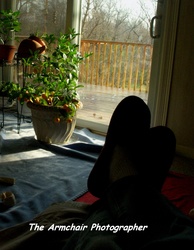 Armchair Photographer 