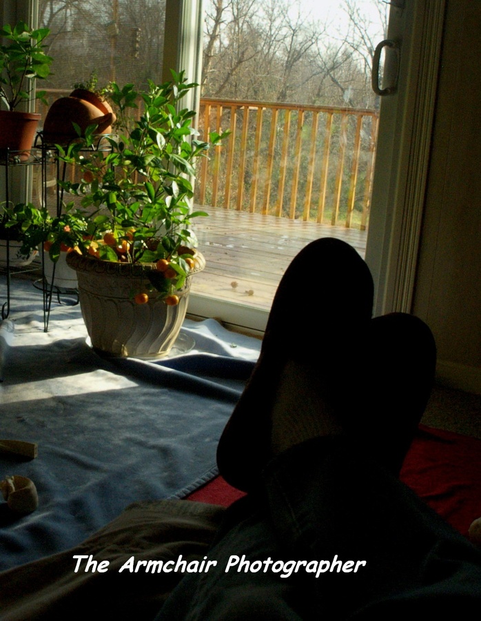 Armchair Photographer 