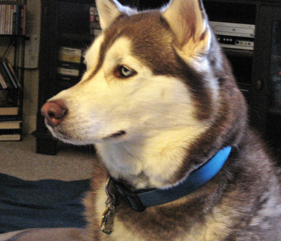Blue Eyes
