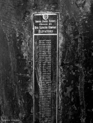 Still Life With Nameplate